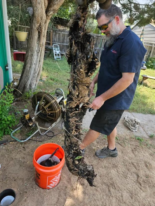 Root Removal